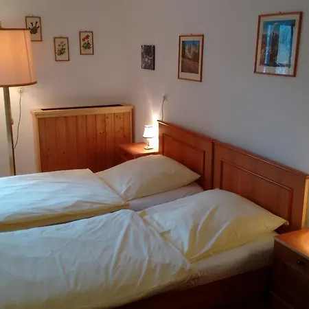 Alpengasthof Madlbauer Guest house Bad Reichenhall